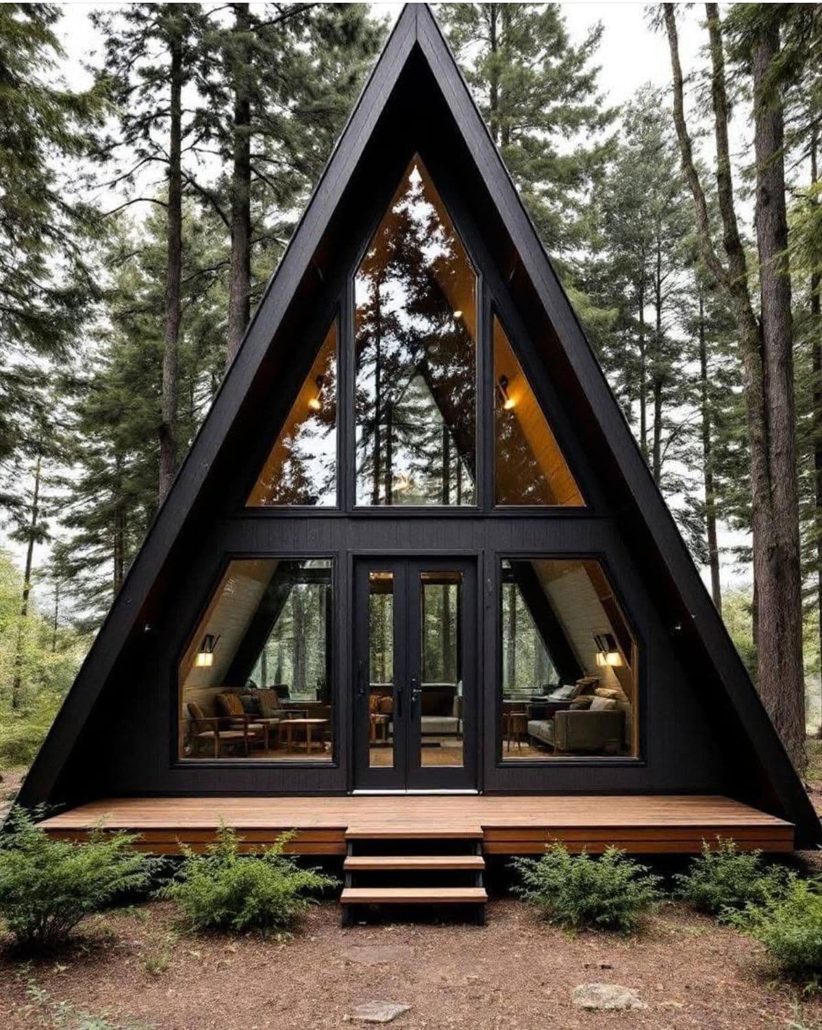 Haldon Stand A-frame in Haldon Forest